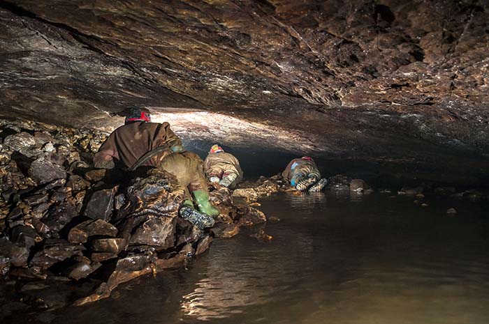 Lisa Wootton, Dave Shearsmith, Wayne Sheldon and Nigel Ball surveing the Lower Bung Stopes entrance. Photo: Phil Wolstenholme